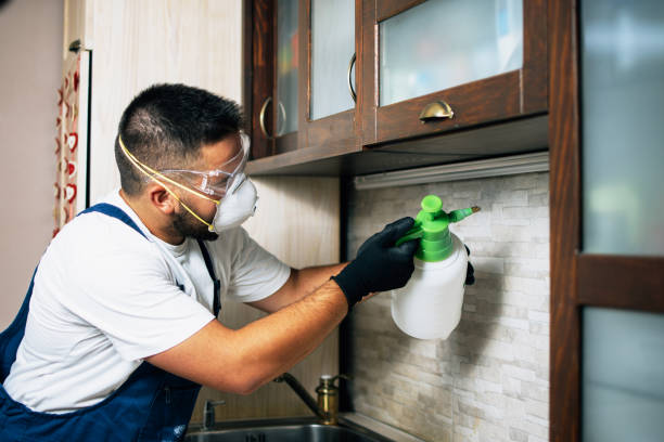 Trusted Clewiston, FL Pest Control Experts