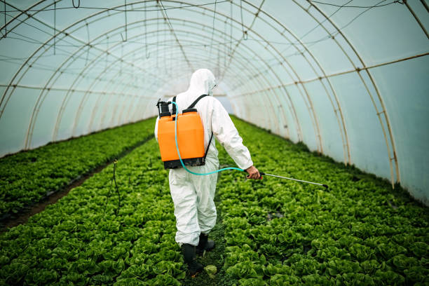 Best Pest Inspection Near Me  in Clewiston, FL