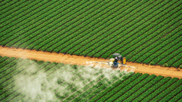 Best Best Pest Control Near Me  in Clewiston, FL