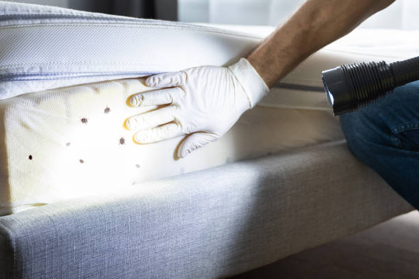 Best Best Pest Control Companies  in Clewiston, FL