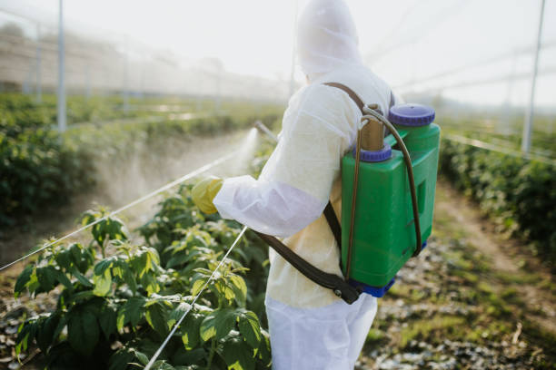 Best Pest Removal Services  in Clewiston, FL